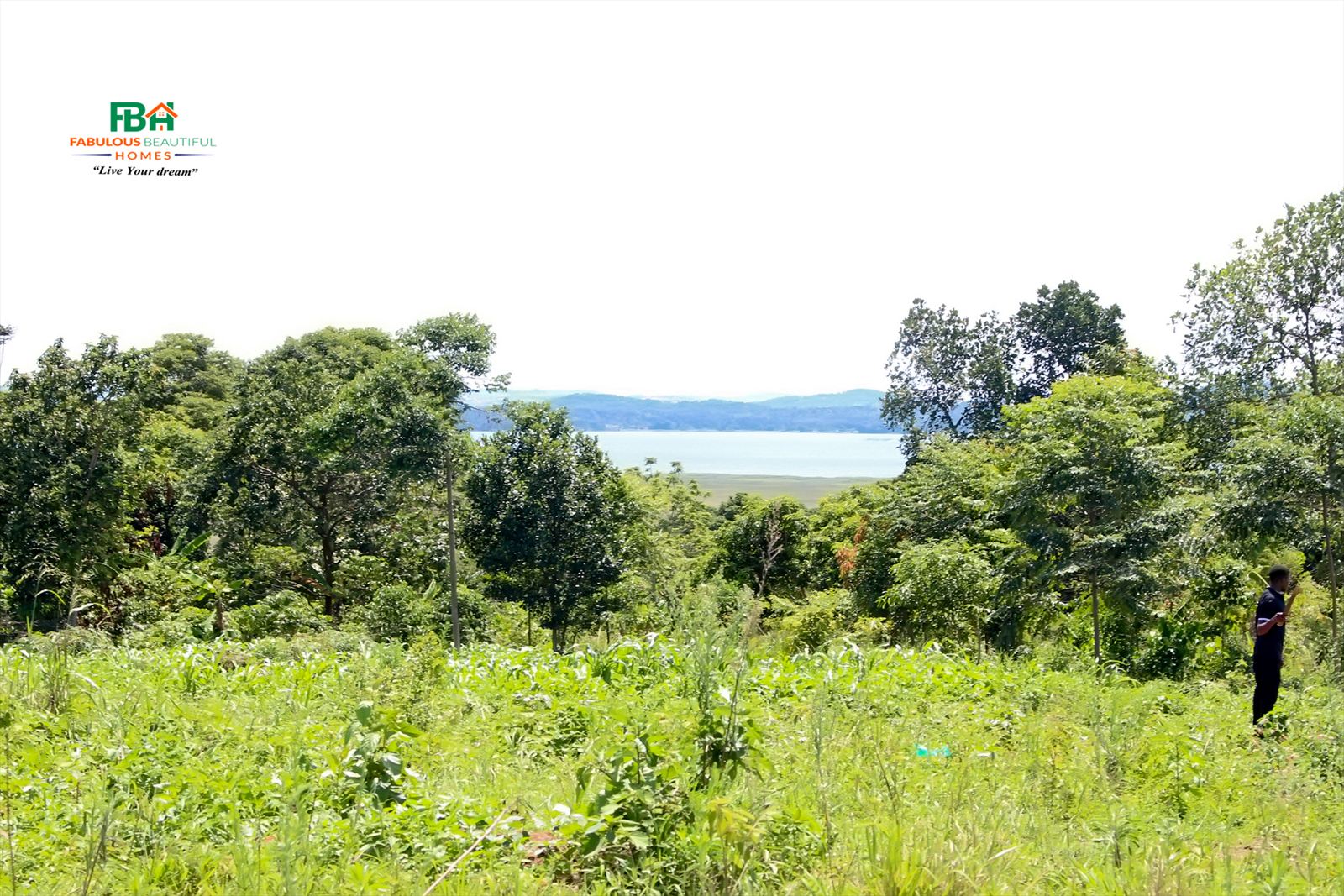 Seed Money: Cultivating Your Savings to Blossom into Land Ownership